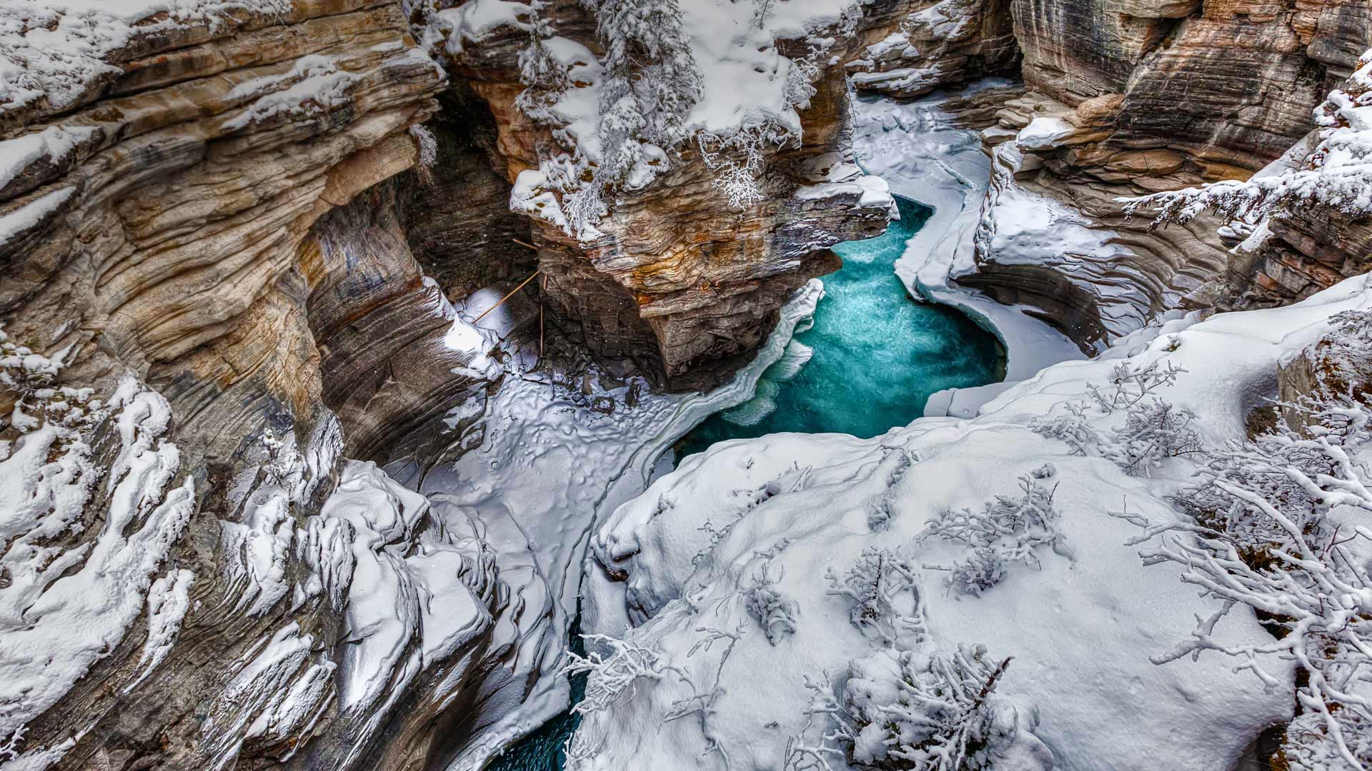 Wallpaper