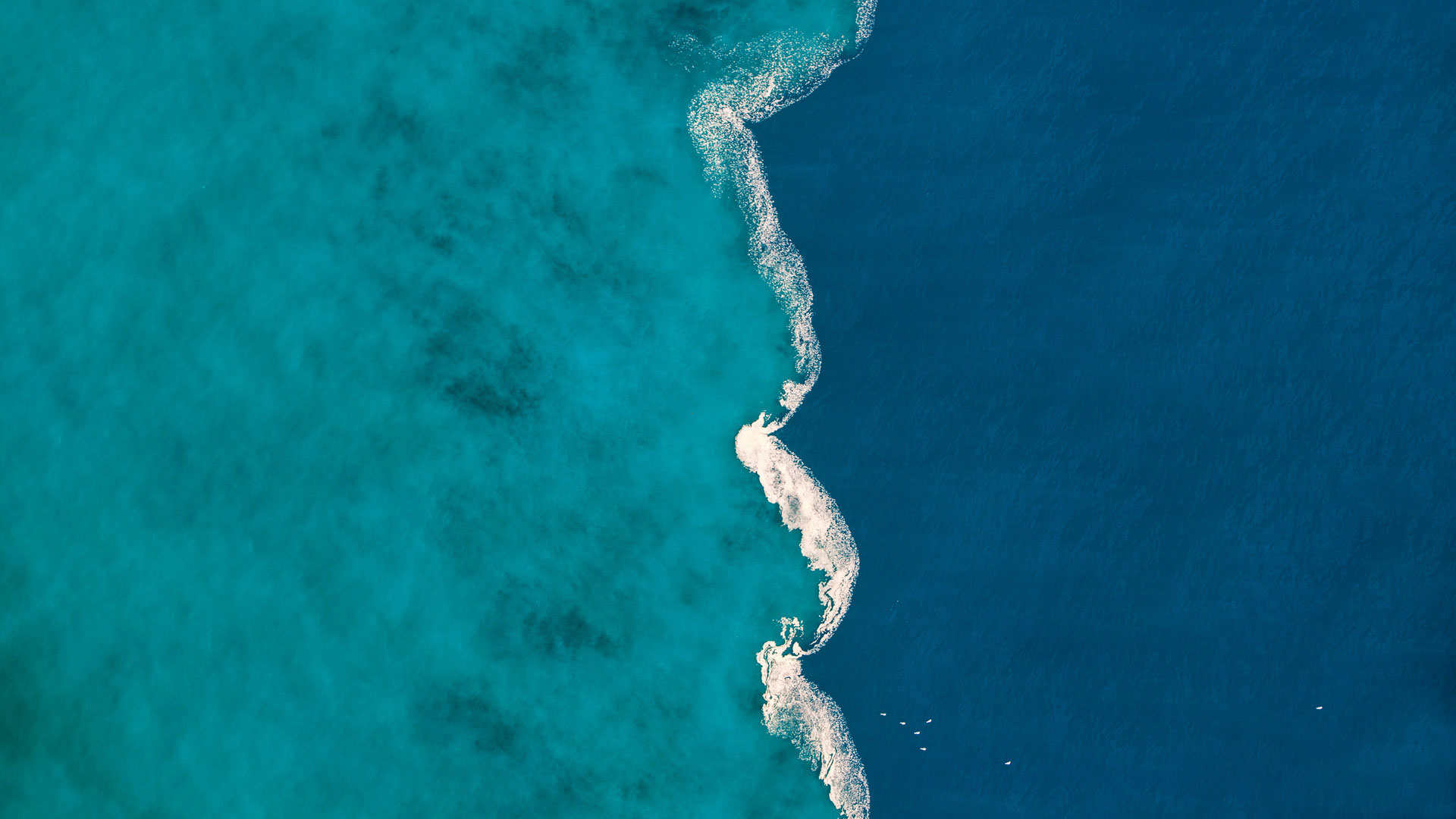 Wallpaper
