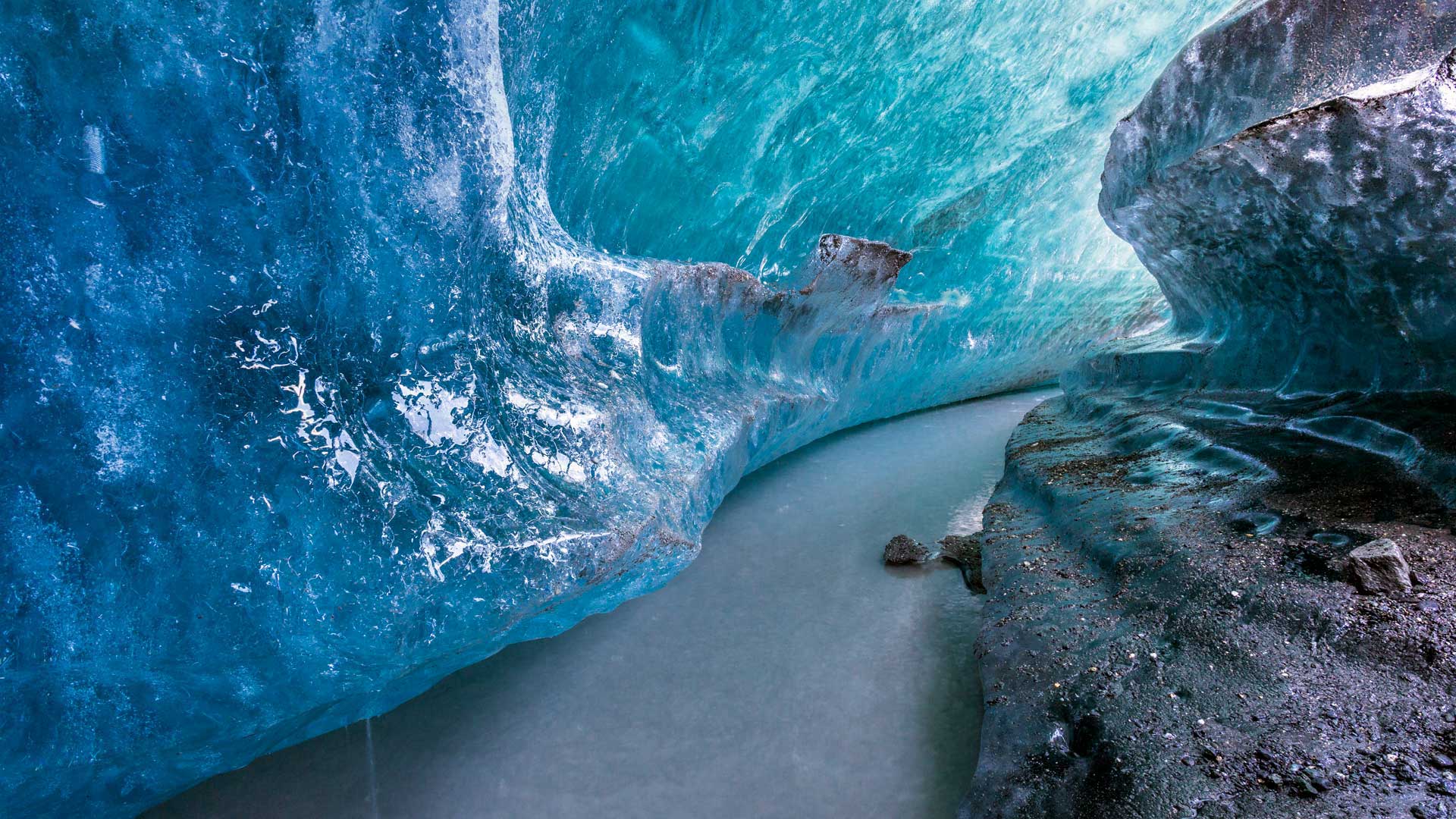 Wallpaper