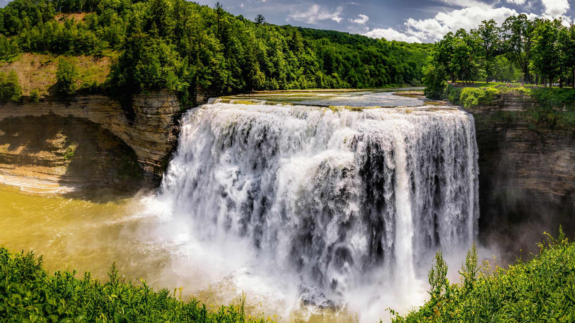 Wallpaper
