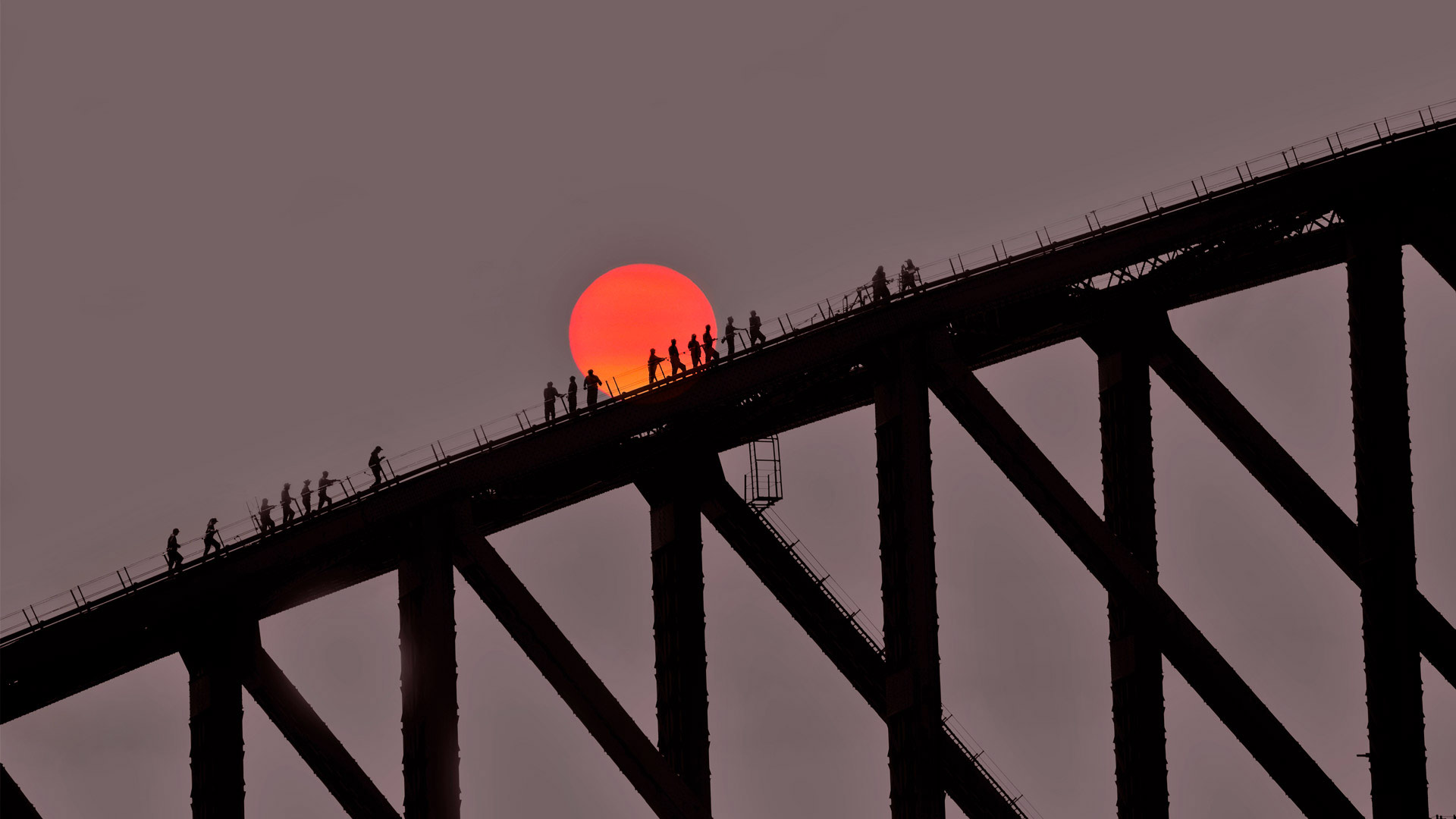 Wallpaper